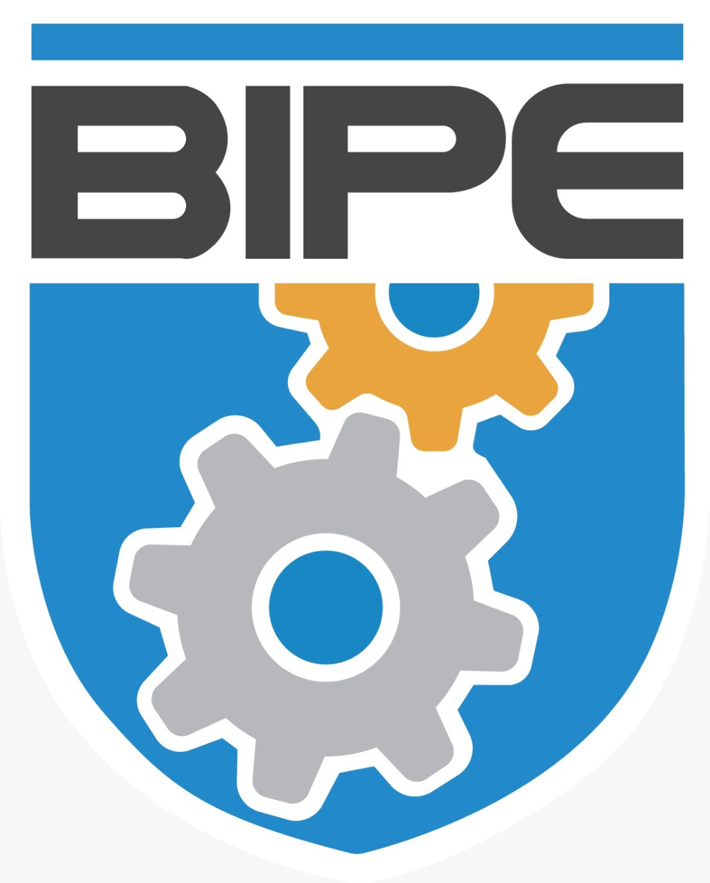 Banaras Institute of Polytechnic & Engineering