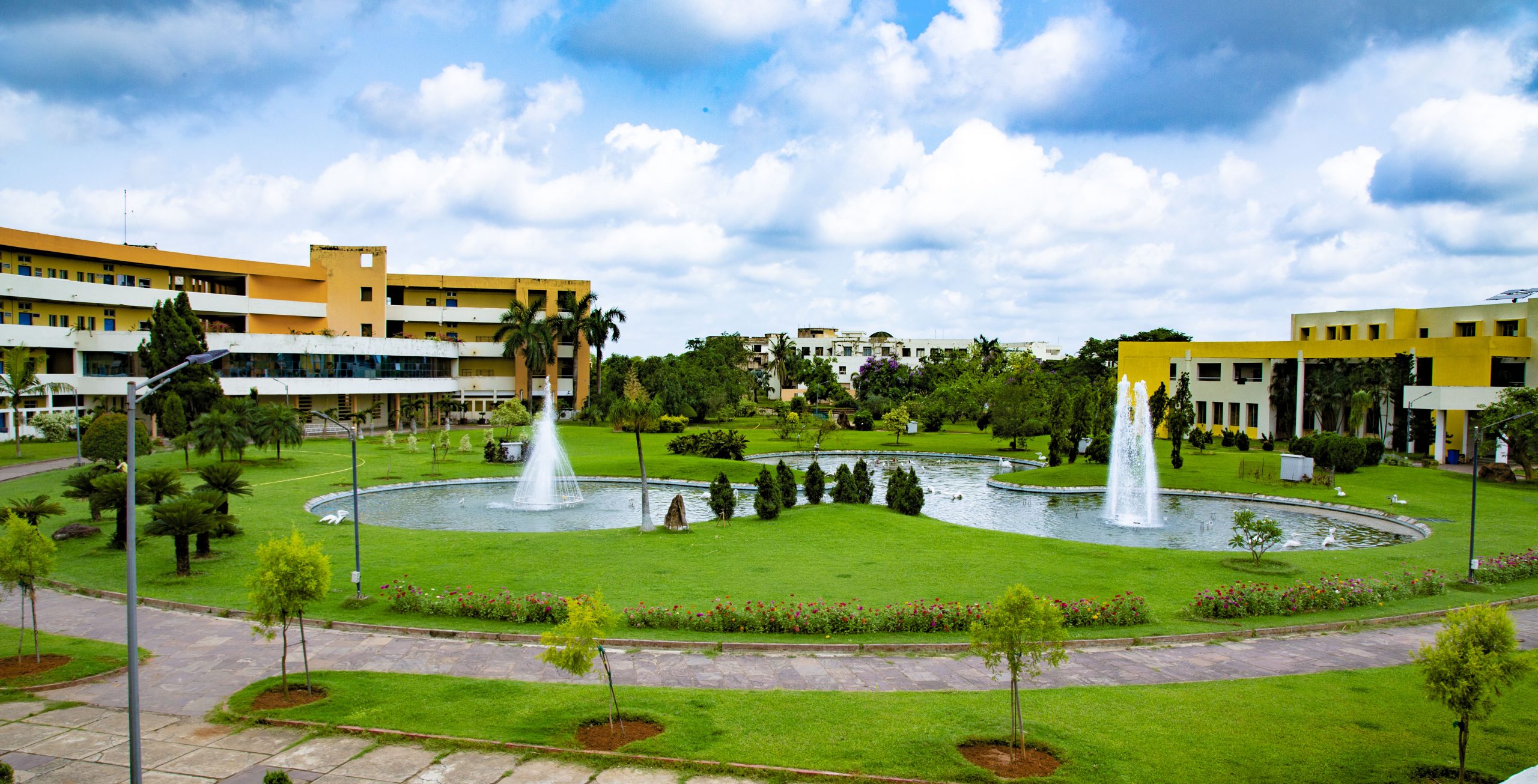 C.V.Raman Global University