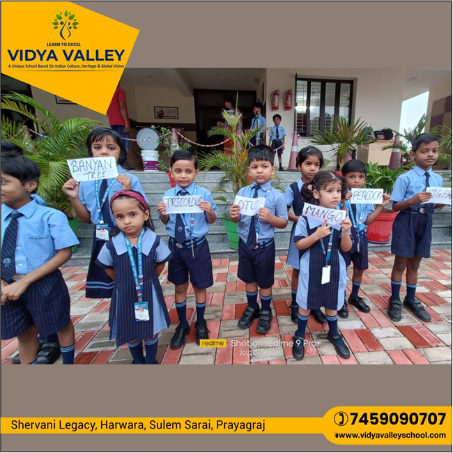 VIDYA VALLEY SCHOOL